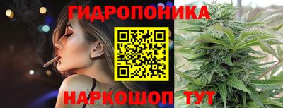 сатива Заволжье