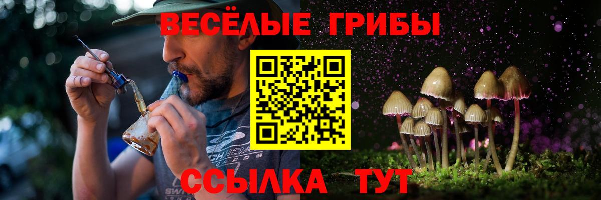 Галлюциногенные грибы GOLDEN TEACHER  Вход с VPN  Киселёвск 